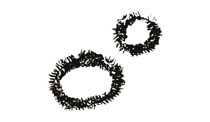 MATRIX Nabenputzringe Standard