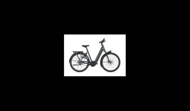 Gazelle Arroyo C5 Elite Wave 57 cm