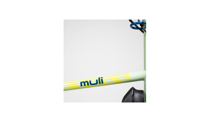 muli E-Cargobike st Special Edition #1