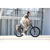 Ortlieb Back-Roller Plus Urban QL2.2