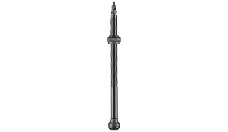 Schwalbe Tubeless Ventil-Set 100 mm