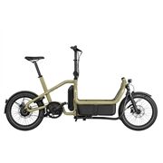 Riese & Müller E-Cargobike Carrie vario