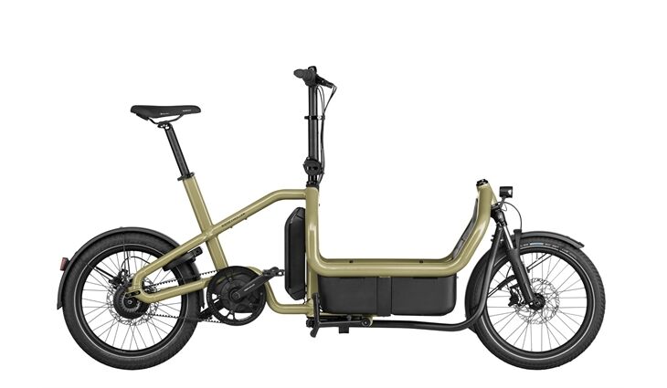 Riese & Müller E-Cargobike Carrie vario