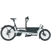 Riese & Müller Vorführrad Packster 40 city