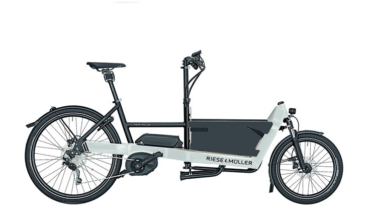 Riese & Müller Vorführrad Packster 40 city