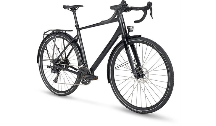 Stevens Gavere FEQ 26 56 cm