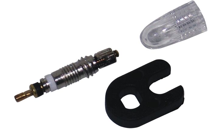 Schwalbe Ventileinsatz SV